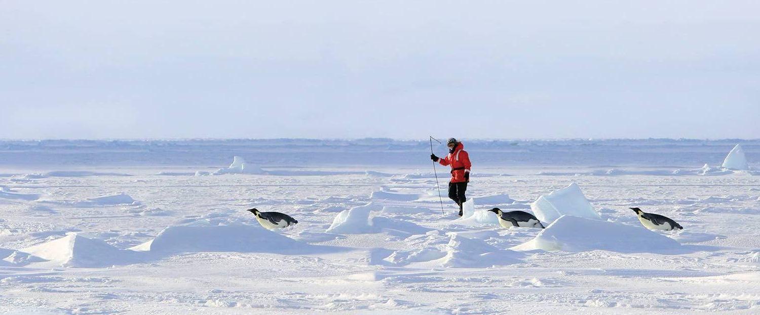 research in winter suit on vast glacier